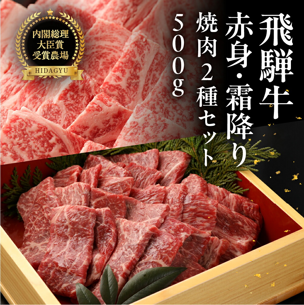 【ふるさと納税】飛騨牛 ロース・赤身 焼肉 セット（ロース200g・赤身300g）計 500g 牛肉 ブランド牛 お肉 肉 焼き肉 焼き肉用 おすすめ 飛騨萩原畜産 【冷凍配送】 食べ比べ 贈答 ギフト 人気 下呂市 牛肉 和牛 黒毛和牛 37000円 40000円｜岐阜県下呂市
