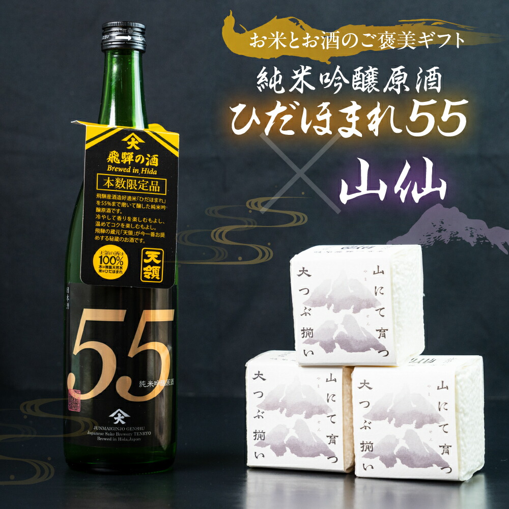 【ふるさと納税】天領酒造 純米吟醸原酒 ひだほまれ55 720ml 1本・山仙キューブ米3個（1個 300g）セット 純米吟醸 天領 酒 日本酒 米 ギフト いのちの壱 山仙 贈答 下呂市