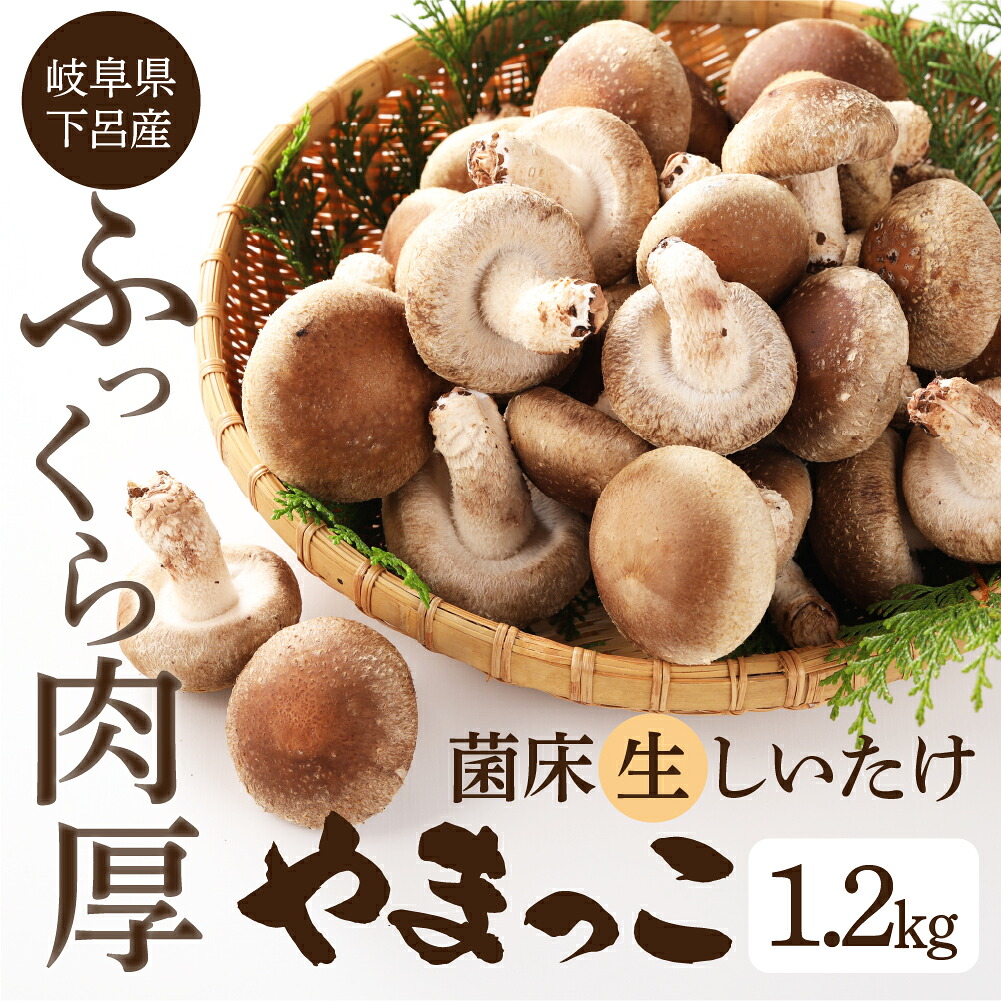【ふるさと納税】先行予約【期間限定】(2026年11月から順次発送) 菌床 生椎茸 詰め合わせ 1.2kg 生しいたけ 国産 産地直送 生シイタケ シイタケ 椎茸 しいたけ 12000円 岐阜県 下呂市 BBQ 肉厚 ブランド きのこ キノコ 茸 煮物 大容量 肉厚|岐阜県下呂市