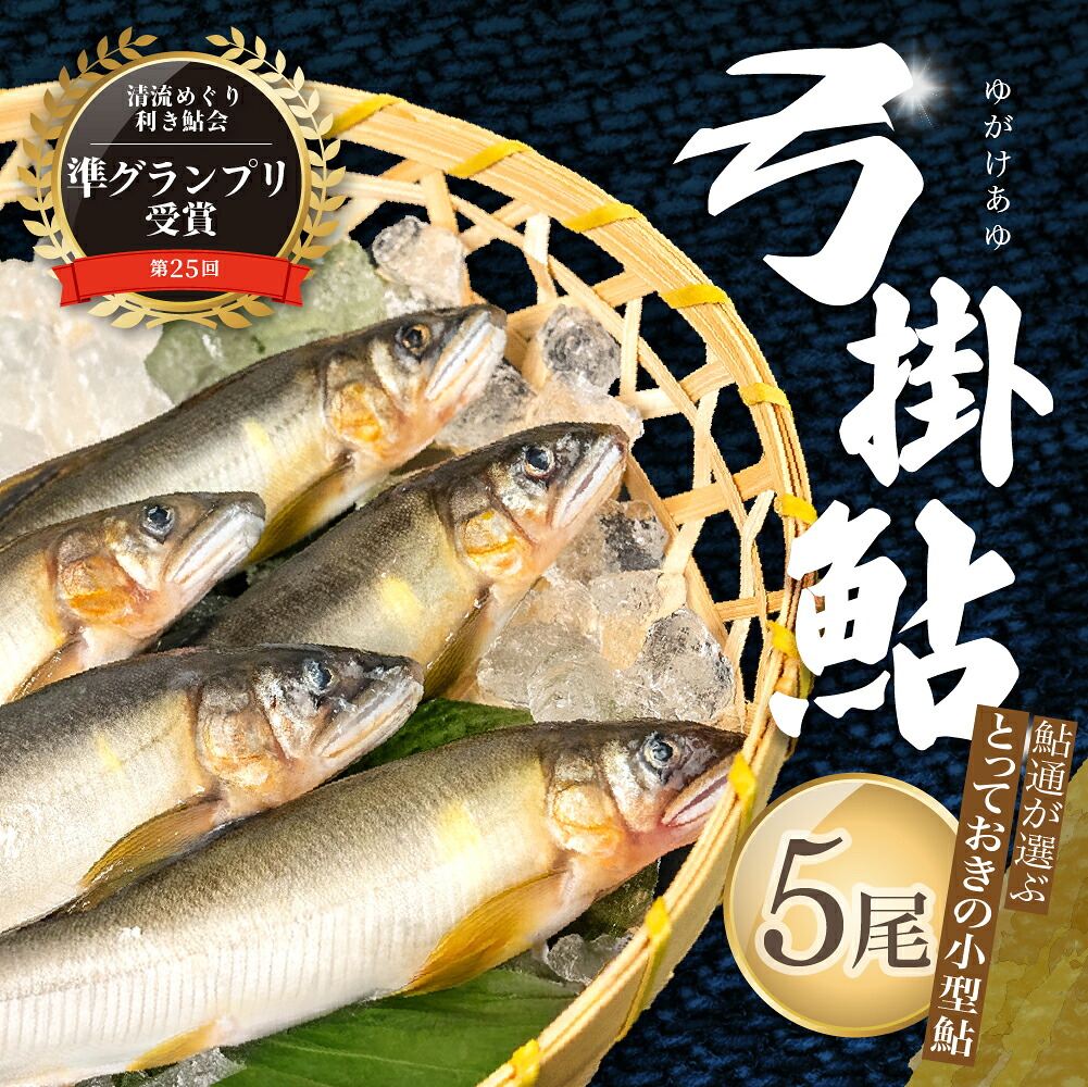【ふるさと納税】（2026年7月上旬頃から発送）【期間限定】幻の弓掛鮎 5尾以上 鮎通が選ぶ小型の逸品！天ぷら・から揚げ最適サイズ（1尾 約55g以下）計300g以上【冷凍パック】鮎 あゆ アユ ゆがけ 下呂市 金山 17,020円