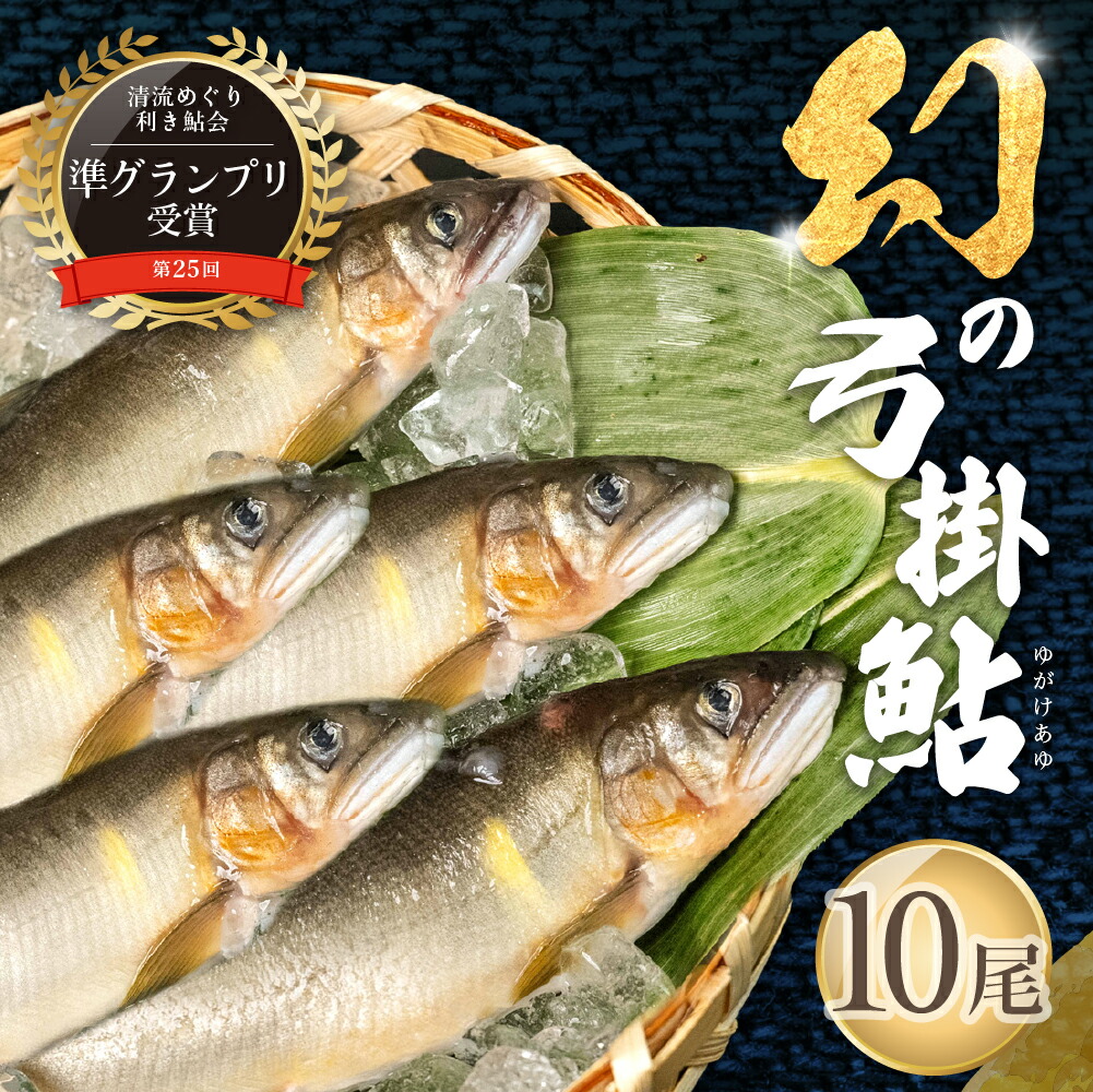 【ふるさと納税】【期間限定】(2026年8月上旬頃から発送)幻の弓掛鮎 10尾セット(総重量 600g以上)【冷凍パック】鮎 あゆ アユ ゆがけ 下呂市 金山