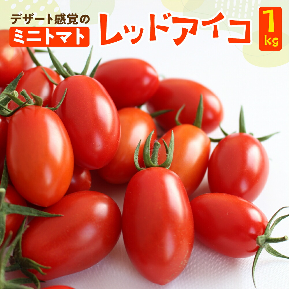 【ふるさと納税】 先行予約　 ≪2025年7月中旬より順次発送≫　産地直送！飛騨下呂のレッドアイコ 1kg  トマト ミニトマト とまと 下呂温泉 夏野菜 期間限定 アイコ 6000円 岐阜県 下呂市