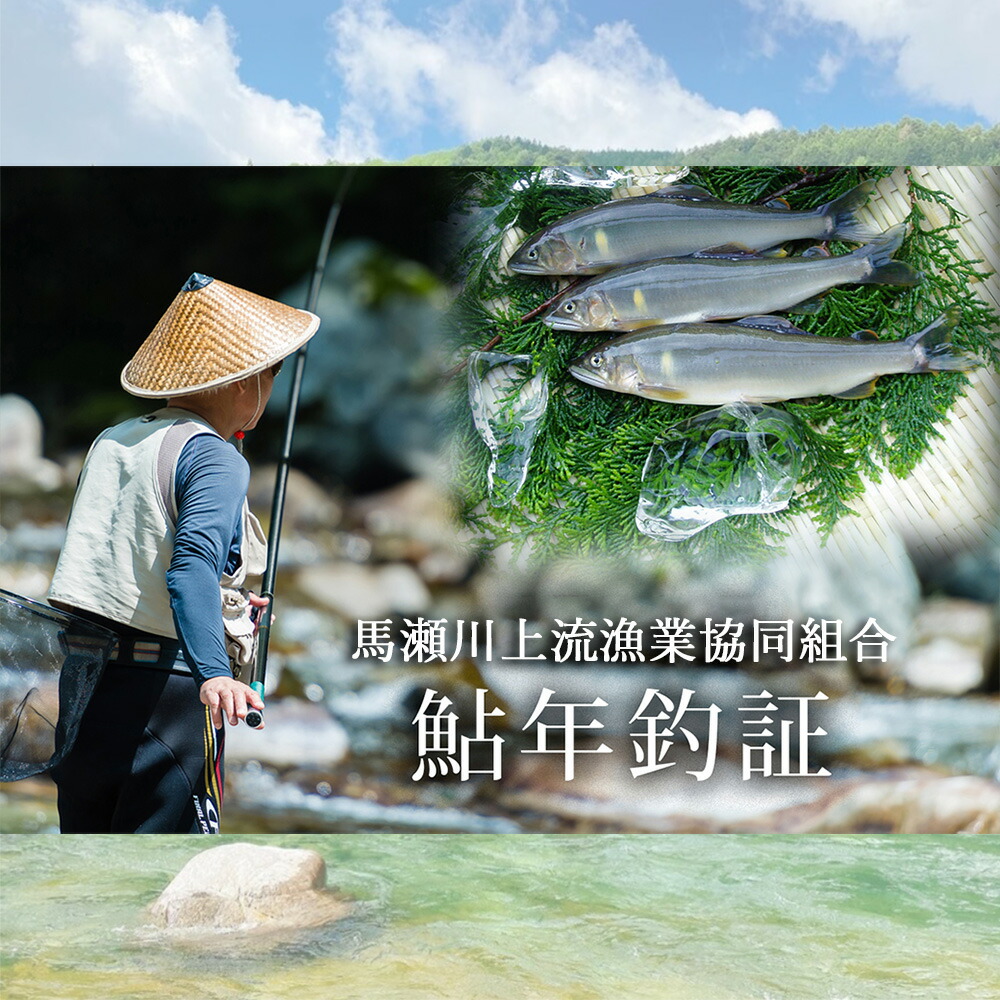 楽天市場】【ふるさと納税】【令和8年】馬瀬川上流鮎年釣証 1枚 鮎 年