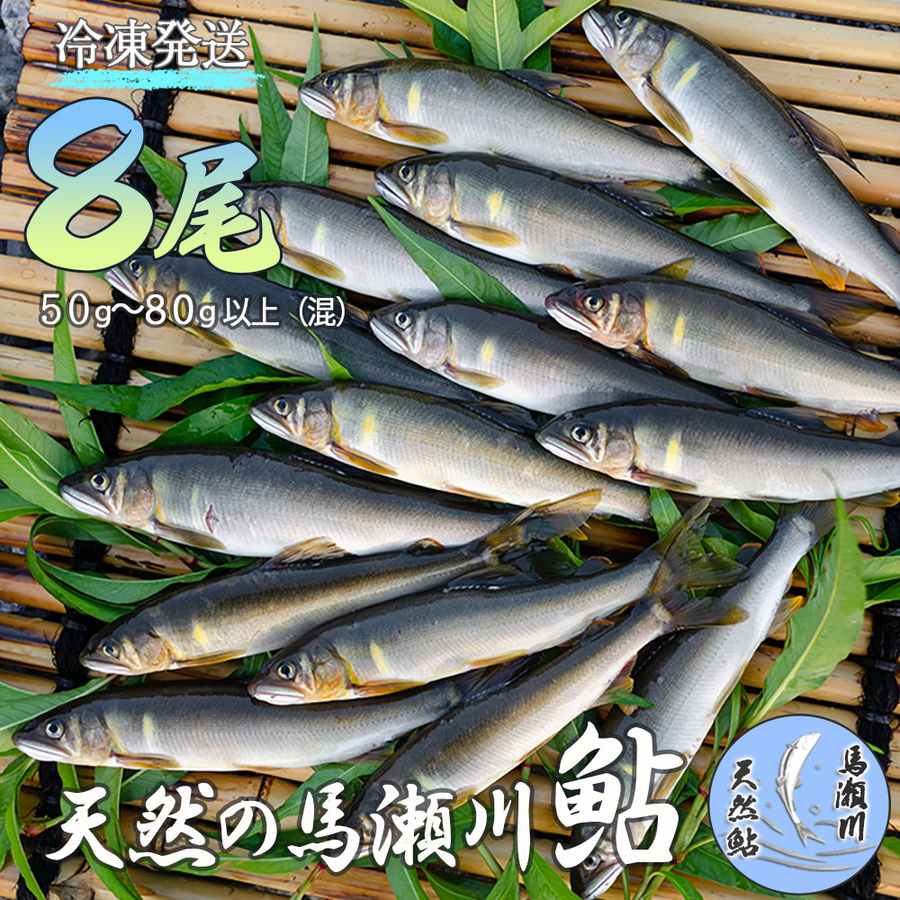 【ふるさと納税】先行予約【期間限定】（発送時期：2026年7月中旬～11月頃まで）清流が育む天然の馬瀬川鮎　8尾（1尾あたり重さ50g～80g以上 (混) 大・中・小セット） 冷凍 鮎 アユ あゆ バーベキュー 馬瀬川 下呂温泉 おすすめ アユ アウトドア 馬瀬 飛騨 23000円 下呂市