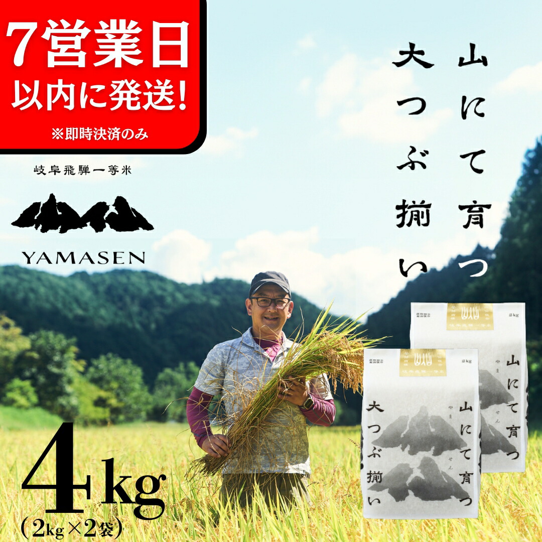 【ふるさと納税】【令和6年産米】【令和7年産】山仙  (いのちの壱) 4kg ( 2kg × 2袋 ) すがたらいす 下呂市 金山産 4キロ 米 2024年産 お米 精米 白米 いのちのいち やません ご飯 ごはん 農家直送 送料無料 令和6年 令和7年 7年産 2025年 2025年産 新米 先行予約