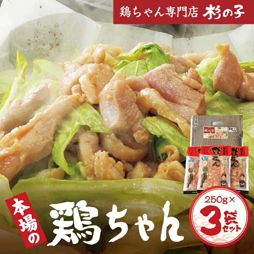 【ふるさと納税】鶏ちゃん専門店「杉の子」味付き鶏ちゃん 250g×3袋 6人前 下呂温泉 おすすめ バーベキュー BBQ アウトドア 鶏肉 けいちゃん ケイちゃん 鶏ちゃん 冷凍 冷凍配送 味付け 焼くだけ 鶏肉料理 おかず 惣菜 時短 簡単料理 ケンミンショー 恵那鶏 ブランド肉