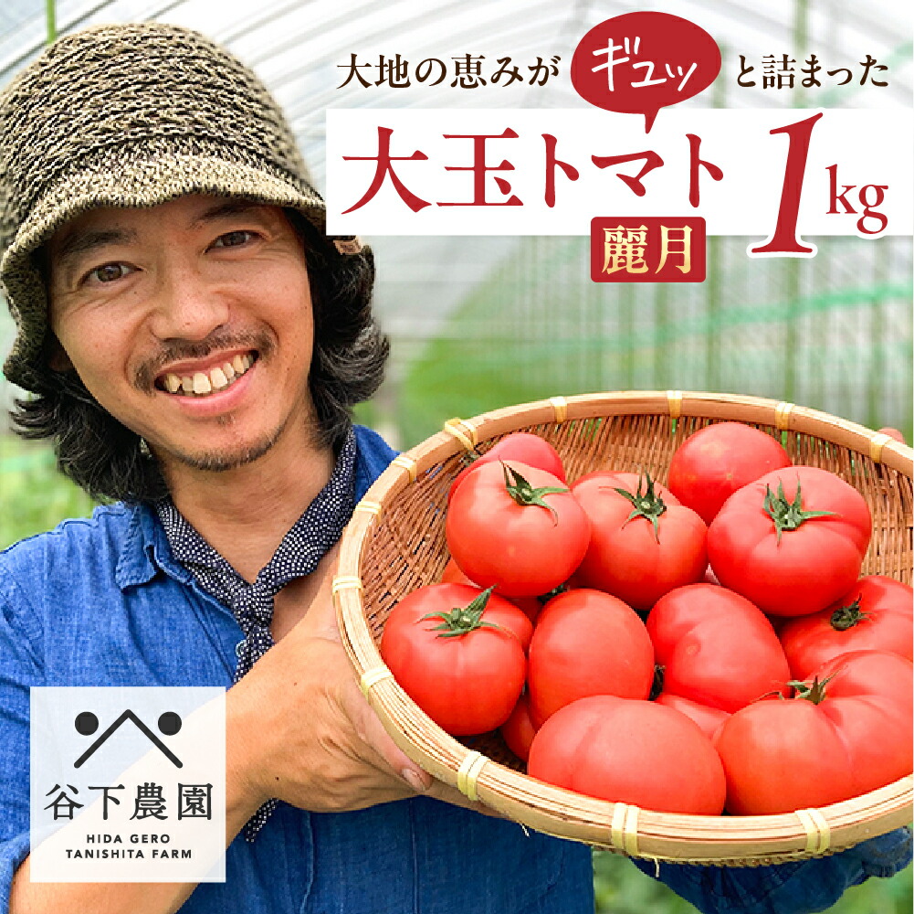 【ふるさと納税】予約受付【2025年7月下旬頃から順次発送】【期間限定】地元の人気者！大地の恵みがぎゅーっと詰まった果肉が厚い 大玉トマト約 1kg（サイズ混合）有機JAS認証《飛騨下呂産》麗月 とまと 産地直送 【谷下農園】 5000円 岐阜県 下呂市
