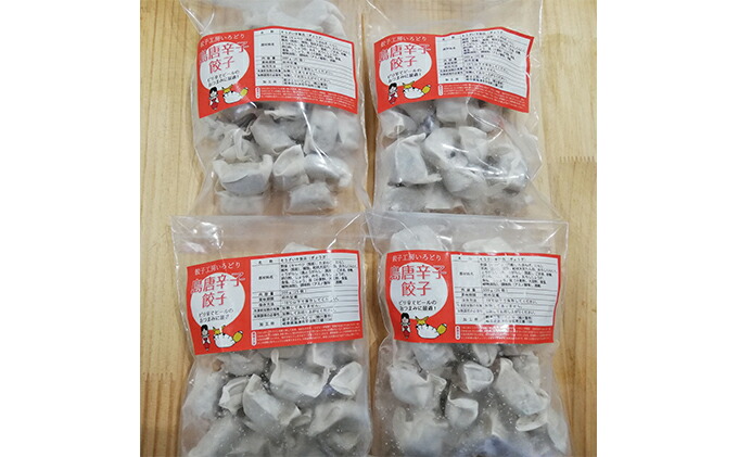 【ふるさと納税】沖縄県産島唐辛子餃子4袋計100個セット【肉の加工品・加工品・惣菜・冷凍・辛子餃子・餃子・辛い餃子】
