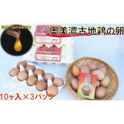 【ふるさと納税】卵 神代の味の再現 奥美濃古地鶏の卵 鶏卵 たまご