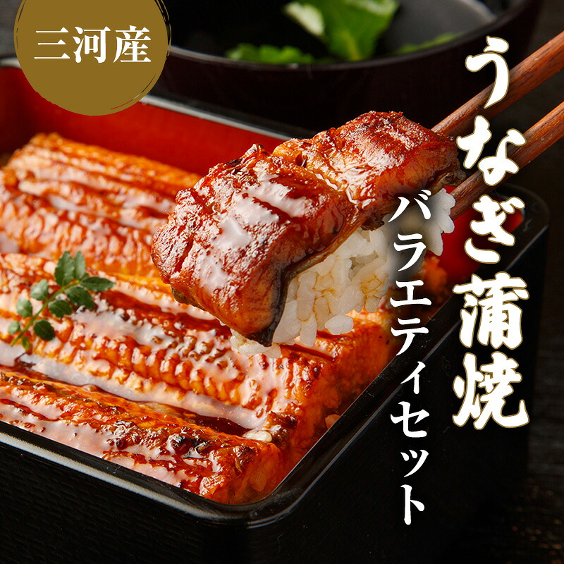 【ふるさと納税】うなぎ蒲焼バラエティセット（三河産）