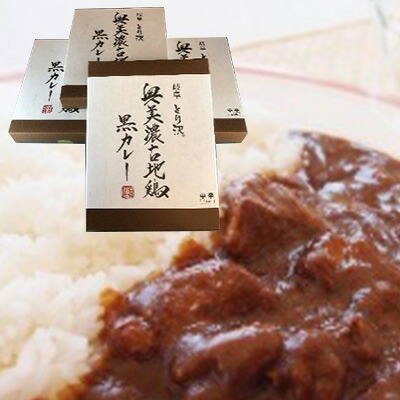 【ふるさと納税】神代の味・奥美濃古地鶏 黒カレー 4箱セット