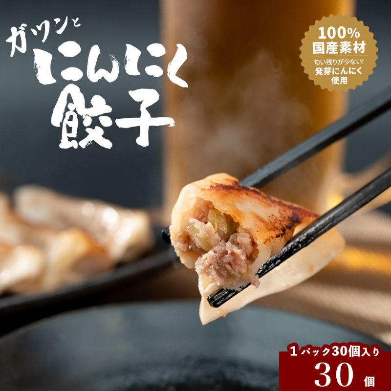 【ふるさと納税】発芽にんにく餃子30個入り 餃子 にんにく にんにくたっぷり 国産にんにく 発芽にんにく 冷凍 臭わない 栄養価抜群 スタミナ 免疫アップ おつまみ おかず 総菜 餃子専門店 ぎょうざ 工場直売