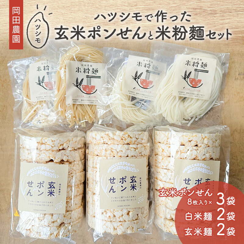 【ふるさと納税】岡田農園のハツシモで作った玄米ポンせんと米粉麺