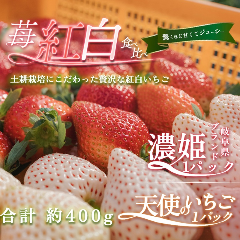 【ふるさと納税】天使のいちご 紅白セット 苺 約400g いちご 詰め合わせ セット 岐阜県 海津市　お届け：2026年1月2日～2026年3月30日