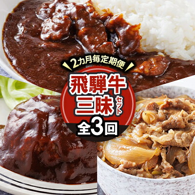 【ふるさと納税】【2ヵ月毎定期便】飛騨牛三昧(ハンバーグ・カレー・牛丼の冷凍食品3種セット)全3回【配送不可地域：離島】【4079778】