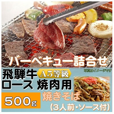 【ふるさと納税】飛騨牛ロース5等級500g・焼きそば3人前(ソース付)　バーベキューセット【配送不可地域：離島】【1416387】