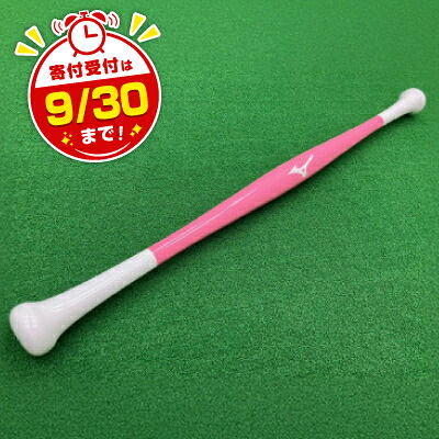 【ふるさと納税】バット材(メープル)使用ストレッチ用ポール 2【1473603】