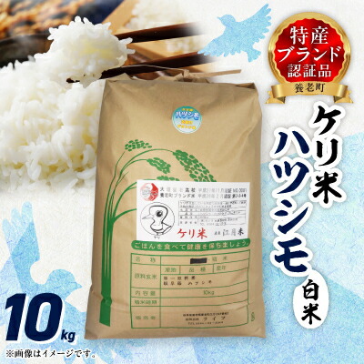 楽天市場】新米【令和7年度産】送料込み【生産者直売】 岐阜の米《代表