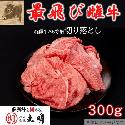 【ふるさと納税】【最飛び雌牛】飛騨牛A5等級切り落とし　300g/500g/600g_ 肉 お肉 牛肉 ブランド牛 和牛 飛騨牛 A5 A5等級 切り落とし 雌牛 牛丼 肉じゃが 牛すき煮 ハッシュドビーフ 炒め物 岐阜県 養老町 冷凍 送料無料 【配送不可地域：離島】【G1520141】