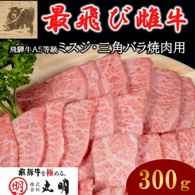【ふるさと納税】【最飛び雌牛】飛騨牛A5等級ミスジ・三角バラ焼肉用　300g/500g_ 肉 お肉 ブランド牛 和牛 飛騨牛 A5 A5等級 雌牛 牛ミスジ 牛三角バラ 焼肉 やきにく 焼肉用 牛脂付 岐阜県 養老町 冷凍 送料無料 【配送不可地域：離島】【G1520158】