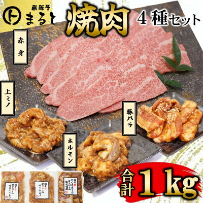 【ふるさと納税】【飛騨牛】焼肉4種B-1セット　赤身肉と味付けホルモンなど　合計1kg【配送不可地域：離島】【1616670】｜岐阜県養老町