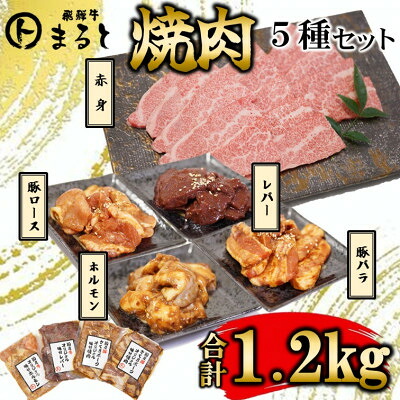 【ふるさと納税】【飛騨牛】焼肉5種セット　赤身焼肉&味付け牛ホルモンなど　合計1.2kg【配送不可地域：離島】【1616701】｜岐阜県養老町