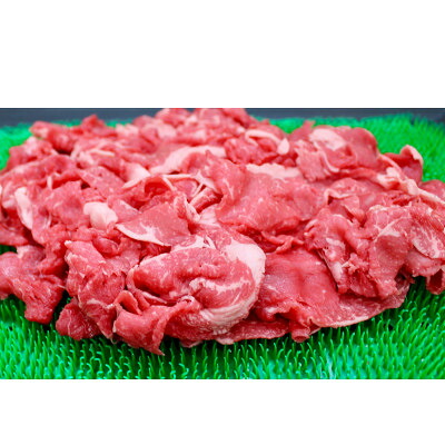 【ふるさと納税】飛騨牛切り落とし計1kg【配送不可地域：離島】【1635750】｜岐阜県養老町