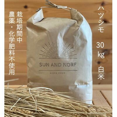 【ふるさと納税】【令和7年産】初霜(源種) 白米30kg (栽培期間中農薬・化学肥料不使用)【1721456】|岐阜県養老町