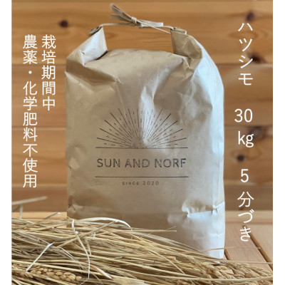 【ふるさと納税】【令和7年産】初霜(源種)5分づき30kg (栽培期間中農薬・化学肥料不使用)【1721469】|岐阜県養老町