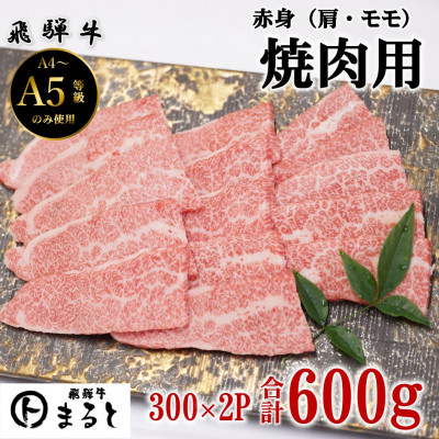 【ふるさと納税】【飛騨牛】赤身焼肉用　300g×2　合計600g【配送不可地域：離島】【1726925】