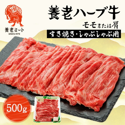 【ふるさと納税】養老ハーブ牛　モモまたは肩　すき焼き・しゃぶしゃぶ両用　500g【配送不可地域：離島】【1273629】