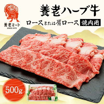 【ふるさと納税】養老ハーブ牛 ロースまたは肩ロース 焼肉用 500g【配送不可地域:離島】【1273633】|岐阜県養老町