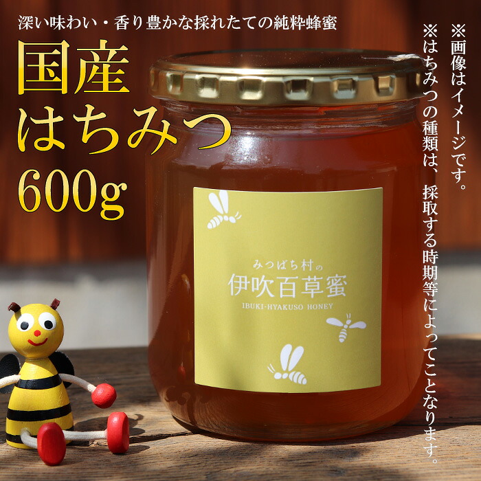 【ふるさと納税】E-26 国産はちみつ600g|岐阜県垂井町