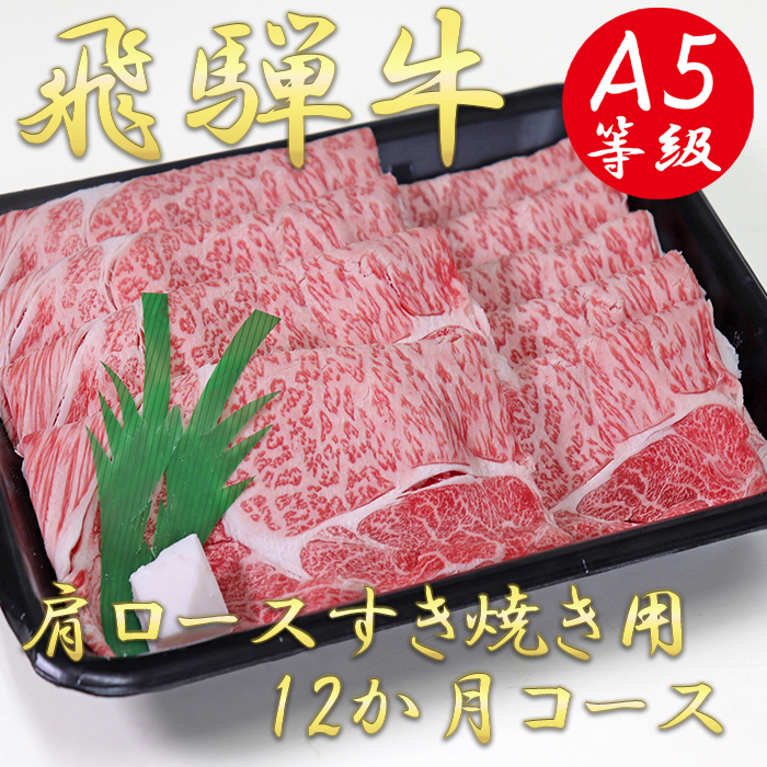 AB-32 A5飛騨牛肩ロースすき焼き用12か月コース 64％以上節約