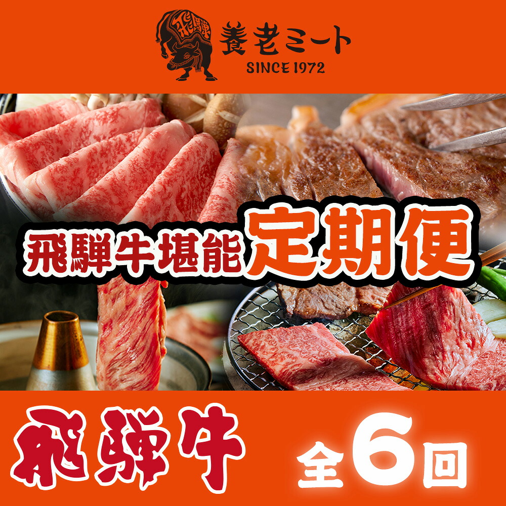 【ふるさと納税】【6か月定期便】月替わりで色々な飛騨牛を楽しめる全6回