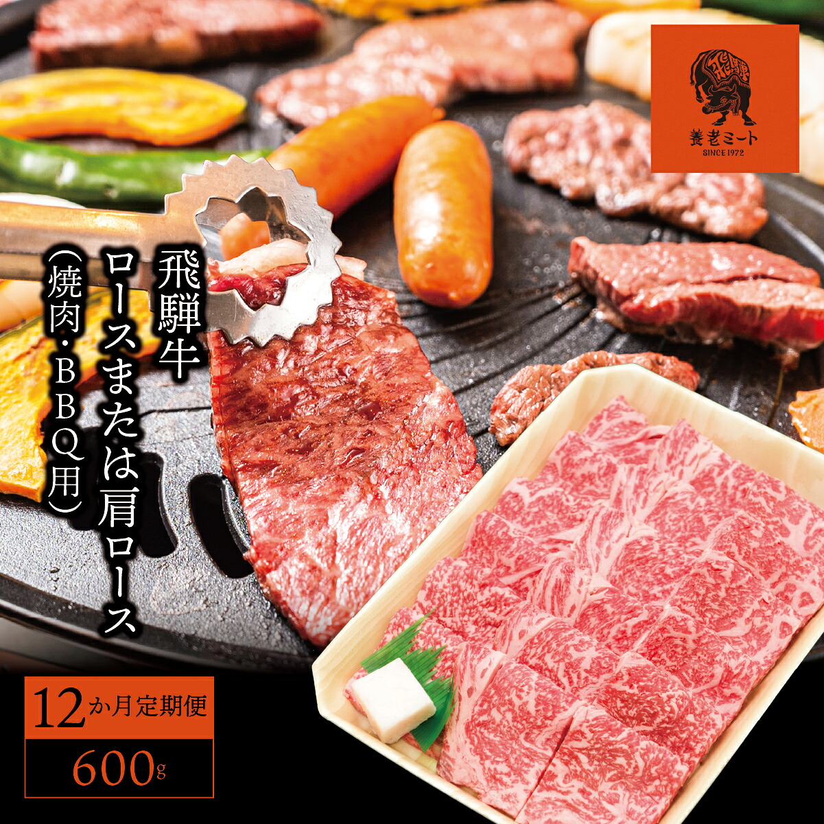 【ふるさと納税】AJ-18 【12か月定期便】【飛騨牛】ロースまたは肩ロース600g (焼肉・BBQ用)