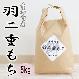 【ふるさと納税】≪令和6年産≫ 岐阜県産羽二重もち5kg