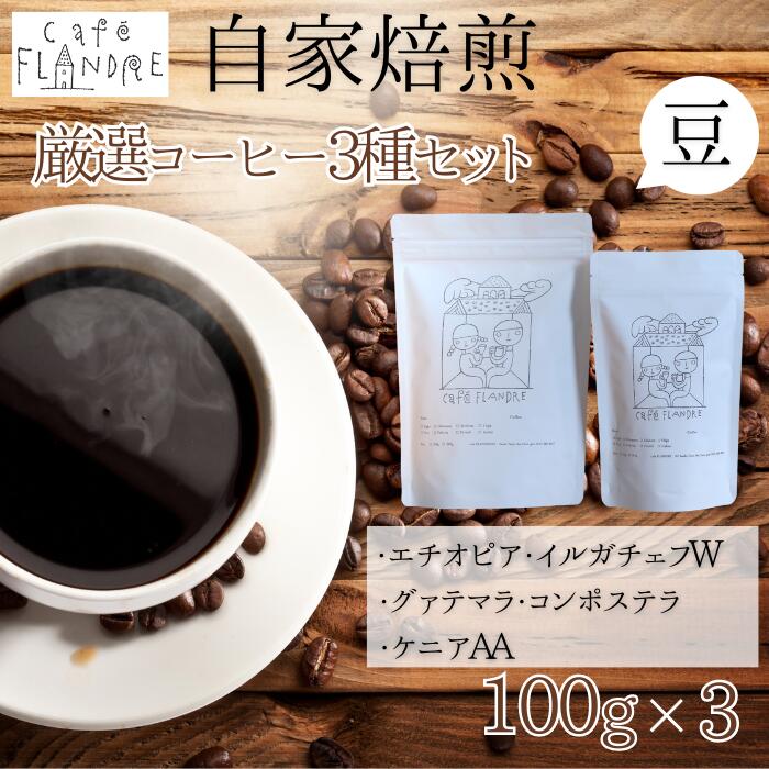 【ふるさと納税】BR-21 【自家焙煎】カフェ・フランドル厳選コーヒー3種セット(100g×3・豆)|岐阜県垂井町