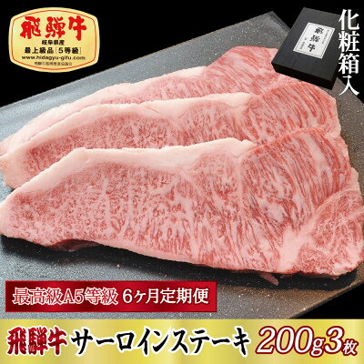 【ふるさと納税】【毎月定期便】化粧箱入 最高級A5等級 飛騨牛 サーロインステーキ 200g×3枚　全6回【配送不可地域：離島】【4053797】