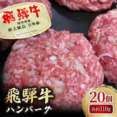 【ふるさと納税】肉の鳥文精肉店 特製 飛騨牛ハンバーグ 20個【配送不可地域：離島】【1268359】 14,800円