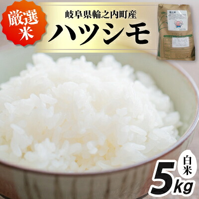 【ふるさと納税】輪之内町産　厳選米ハツシモ　白米5kg【1482493】｜岐阜県輪之内町