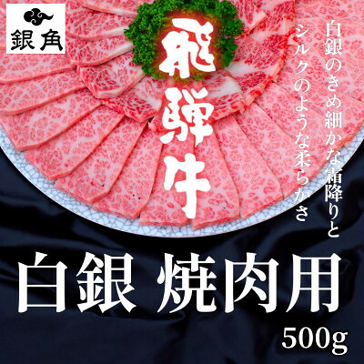 【ふるさと納税】【毎月定期便】【飛騨牛】白銀焼肉用500g全6回【配送不可地域：離島】【4083289】｜岐阜県輪之内町