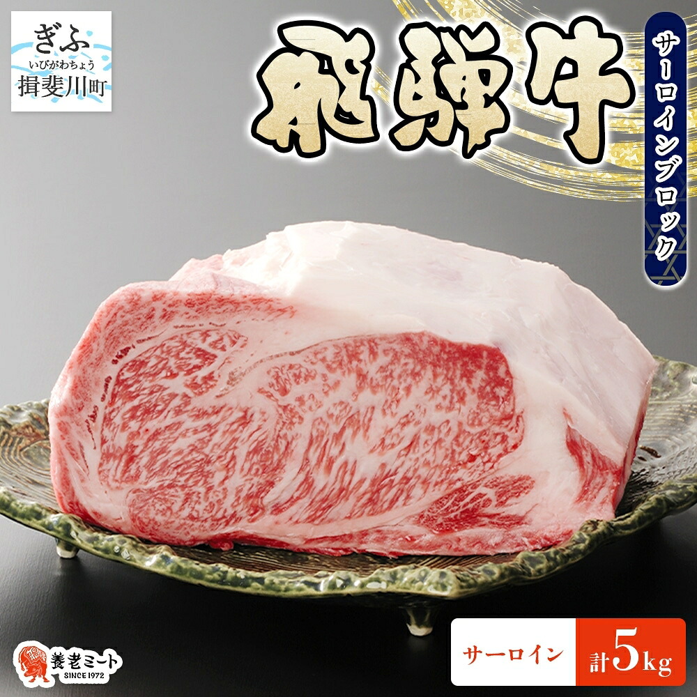 【ふるさと納税】飛騨牛 サーロイン ブロック 5kg 塊肉 和牛 黒毛和牛 牛肉 肉 ステーキ ローストビーフ 厚切りステーキ 焼肉 大容量 国産 国産牛 グルメ ギフト お取り寄せ 贈り物 送料無料 冷凍 養老ミート 岐阜県 揖斐川町