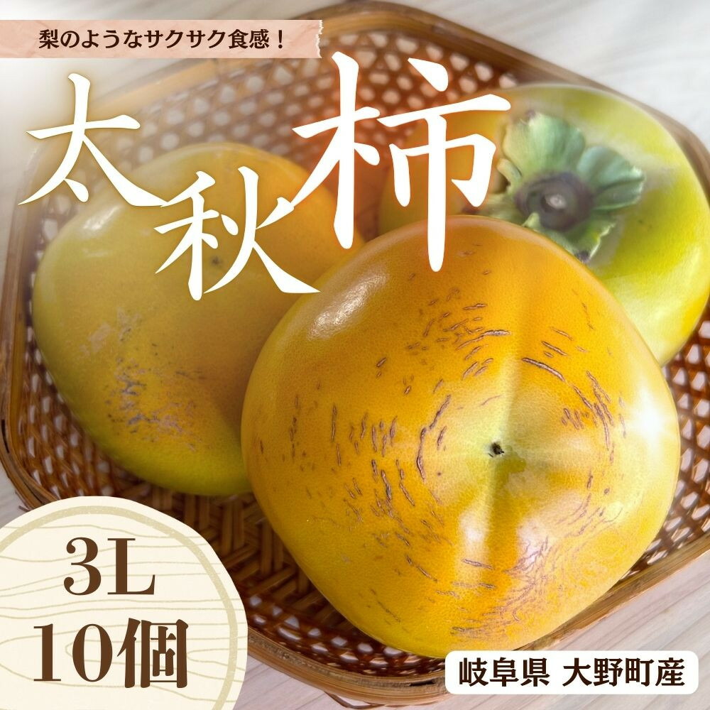 【ふるさと納税】【先行予約】梨のような食感！ Farm m&aの太秋柿 3L×10個 秀品 岐阜県 大野町（2025年10月中旬～発送）農家直送 果物 フルーツ 秋の味覚 柿 かき 太秋 たいしゅう | 柿 かき カキ 富有柿 岐阜の柿 甘柿 果物 大野町 特産品