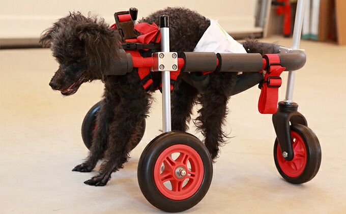 楽天市場 ふるさと納税 小型犬用三輪車椅子 背丈23 35cm 体重8キロ以下 雑貨 日用品 岐阜県池田町