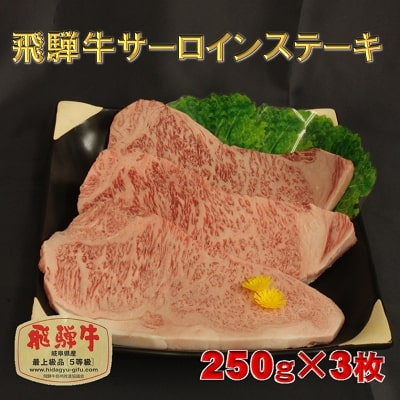 ふるさと納税 位置以上 飛騨黒牡丹サーロインビステキ 250g 3枚 サーロイン お食肉 牛 ステーキ お届け 12月明り16日日 1月10日はマーケティング生じる早熟んのでご忠告下さい 2friendshotel Com