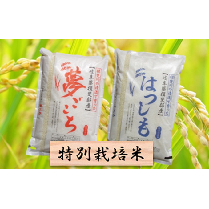 ふるさと納税 特別栽培米 白米10kg 夢ごこち ハツシモ お米 岐阜県産 お届け 2021年11月上旬 2022年10月下旬 Umu Ac Ug