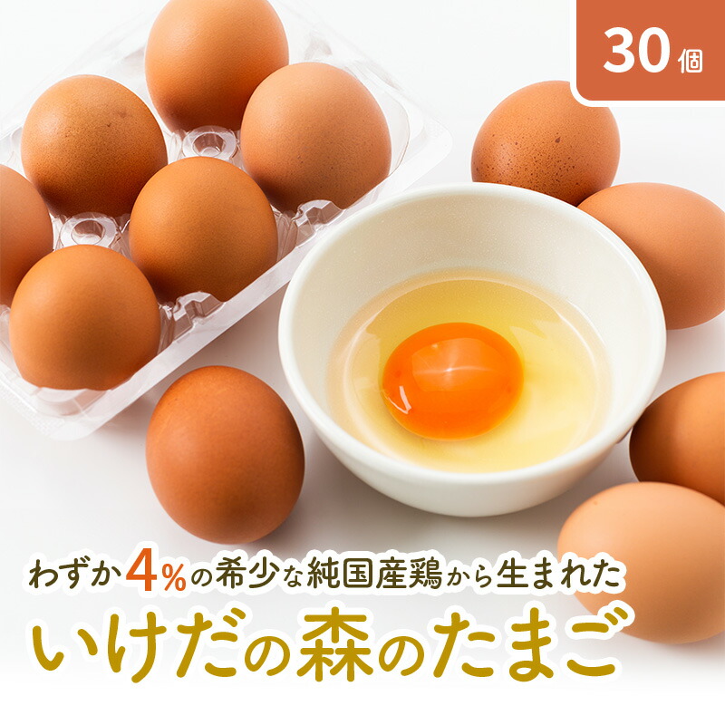 【ふるさと納税】卵 わずか4%の希少な純国産鶏 いけだの森たまご 30個 こだわり おこめのたまご 玉子 鶏卵 生卵 産地直送 冷蔵配送 TKG 卵かけご飯 岐阜県産