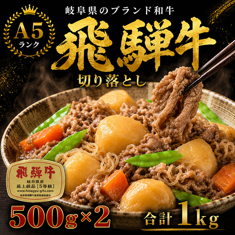 【ふるさと納税】飛騨牛 牛肉 切り落とし 500g×2 計1kg A5 和牛 焼肉 もも肉 モモ バラ カルビ お肉 ブランド和牛 お届け:※12月16日~1月10日は出荷出来ませんのでご注意下さい。|岐阜県池田町