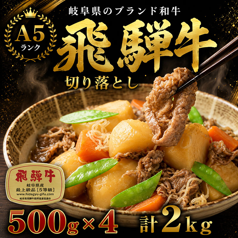 【ふるさと納税】飛騨牛 牛肉 切り落とし 500g×4 計2kg A5 和牛 焼肉 もも肉 モモ バラ カルビ お肉 ブランド和牛 お届け:※12月16日~1月10日は出荷出来ませんのでご注意下さい。|岐阜県池田町